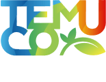 Municipio Ciudadano, Departamento de Educación
